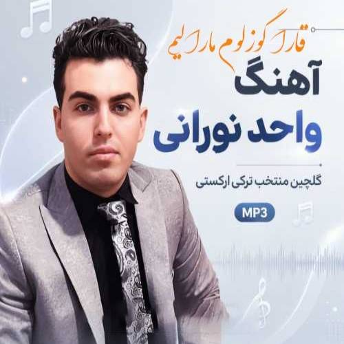 دانلود آهنگ قارا گوزلوم مارالیم (باهاریم یازیم منیم) از واحد نورانی
